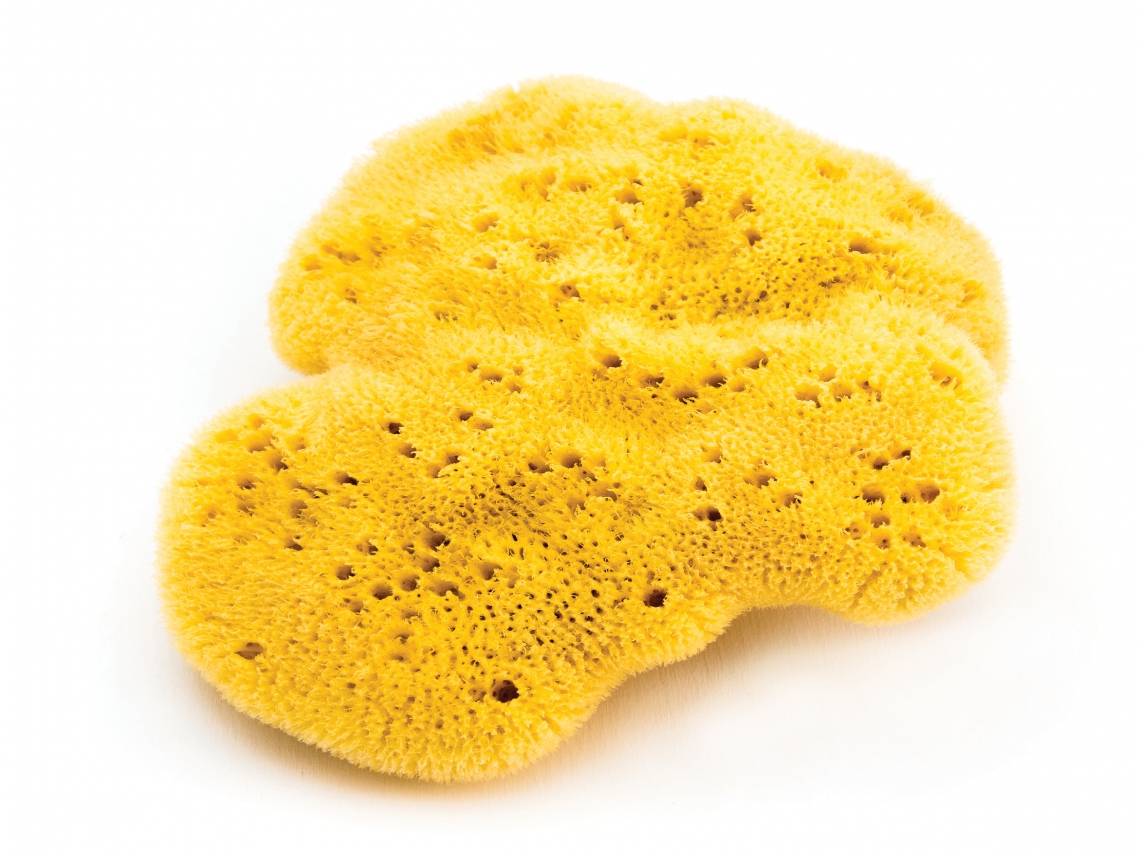 NATURAL SEA SPONGE
